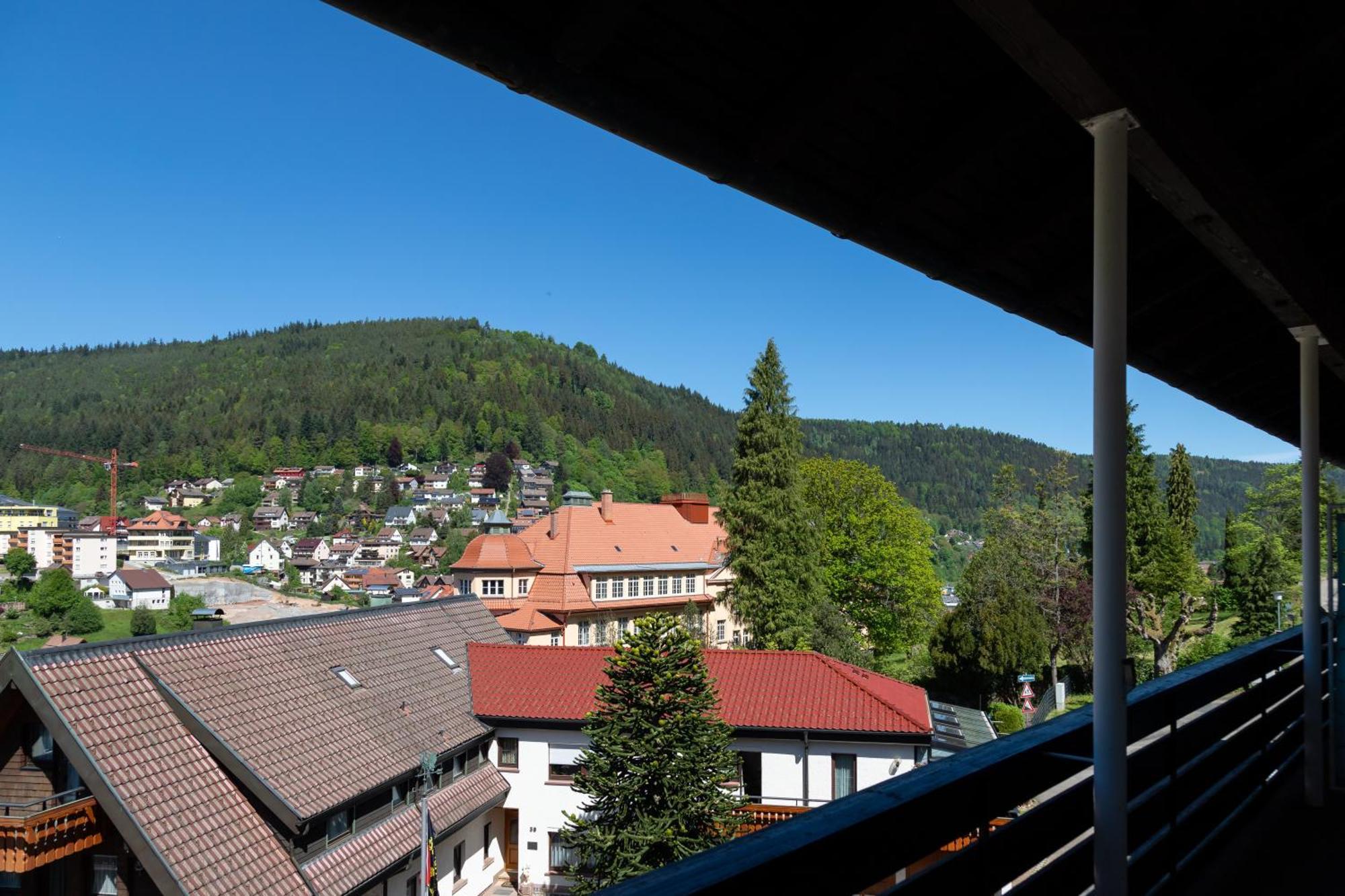 Aparthotel Schwarzwald Panorama Бад-Вильдбад Номер фото