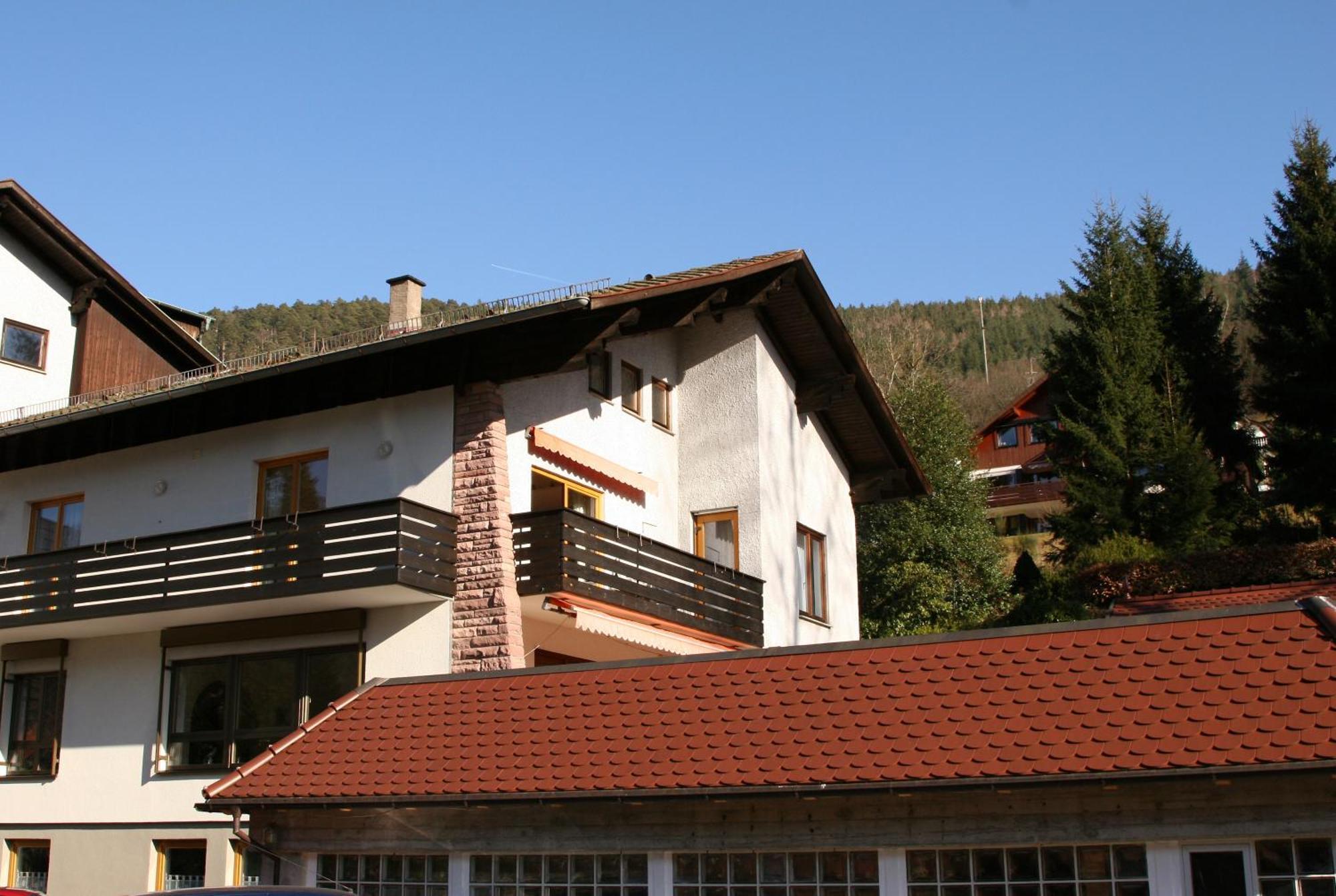 Aparthotel Schwarzwald Panorama Бад-Вильдбад Номер фото