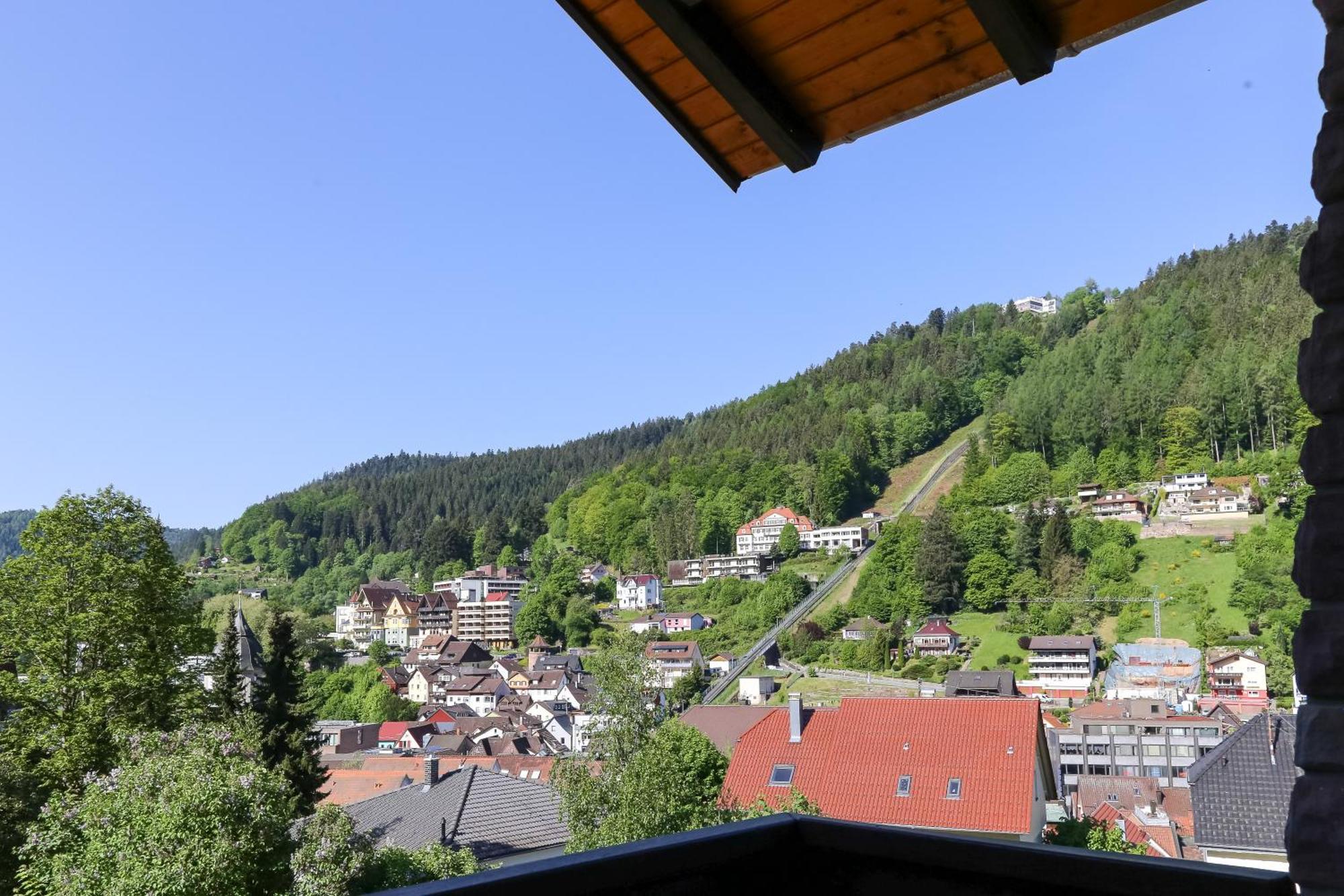 Aparthotel Schwarzwald Panorama Бад-Вильдбад Номер фото